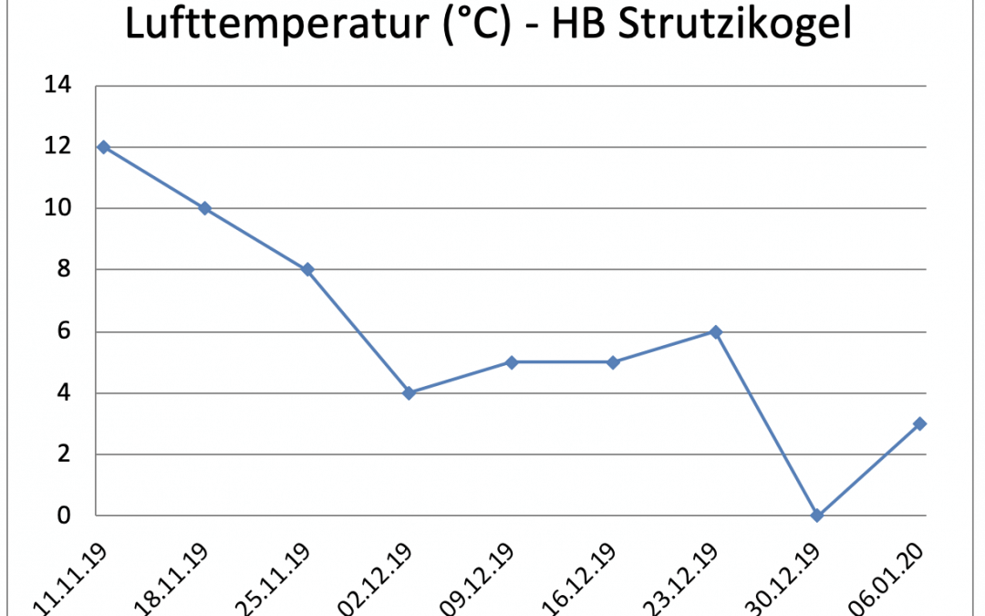 Neues Exportmodul